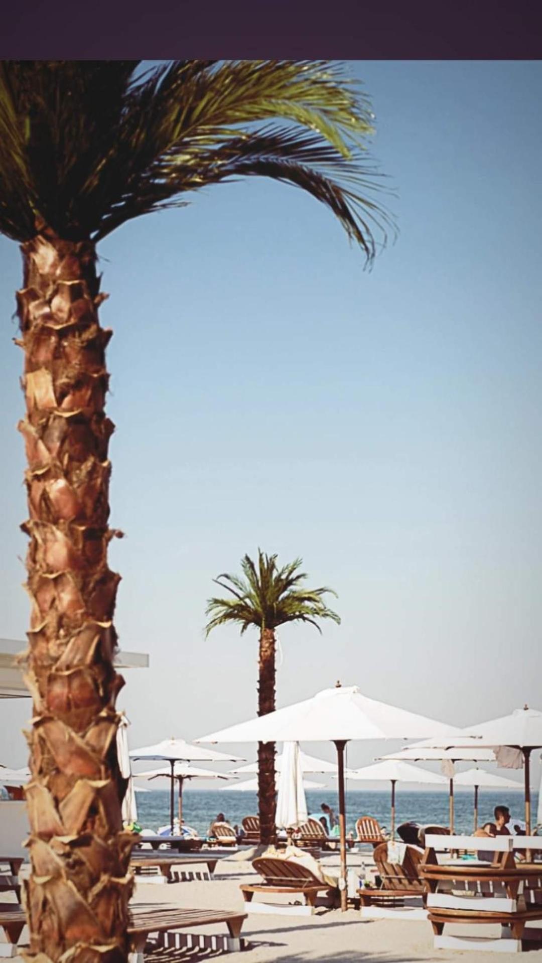 White Tower Prestige * Mamaia